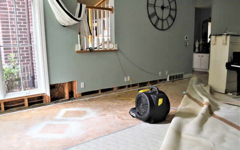 Mastering Water Damage: A 5-Step Guide for Homeowners