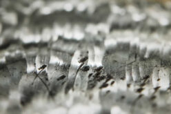 Uncovering Hidden Asbestos: A Safety Guide for the Informed Property Owner