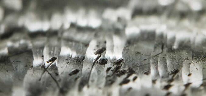 Uncovering Hidden Asbestos: A Safety Guide for the Informed Property Owner