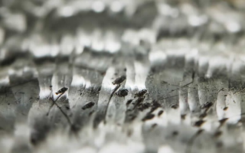 Uncovering Hidden Asbestos: A Safety Guide for the Informed Property Owner