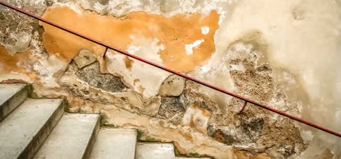 5 Tips for Safeguarding Your Basement Against Mold