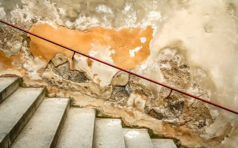 5 Tips for Safeguarding Your Basement Against Mold