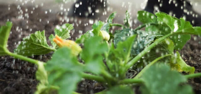 How to Keep Your Yard Work Eco-Friendly