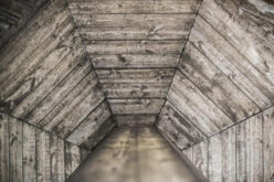 Mitigating Health Risks: Understanding Attic Mold and Removal Techniques