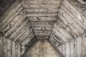 Mitigating Health Risks: Understanding Attic Mold and Removal Techniques