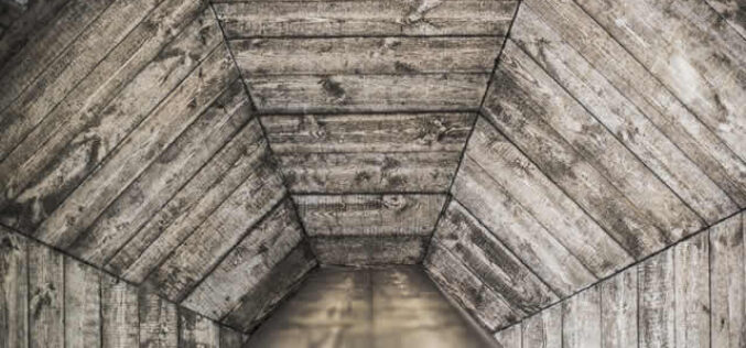 Mitigating Health Risks: Understanding Attic Mold and Removal Techniques