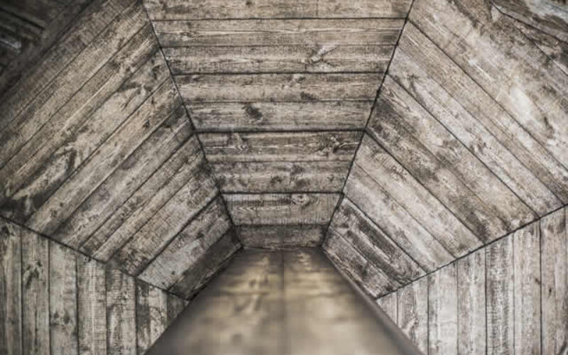 Mitigating Health Risks: Understanding Attic Mold and Removal Techniques