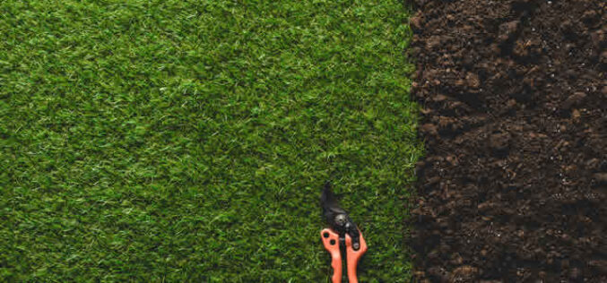 A Beginner’s Guide to Starting an Eco-Friendly Lawn