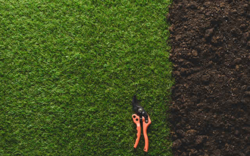 A Beginner’s Guide to Starting an Eco-Friendly Lawn