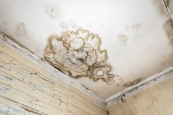 How to Prevent and Manage the Hidden Risks of Household Mold