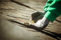 Choosing Expertise: Top 5 Benefits of Hiring a Professional Roofer for Your Home Makeover – 422