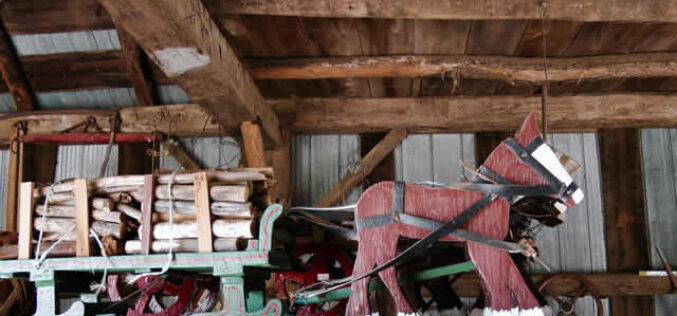 Why Attic Cleaning Should Be Your Top Priority
