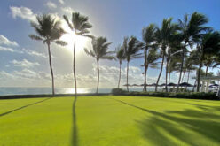 Take Great Care of Your Property with Pompano Beach Lawn Care