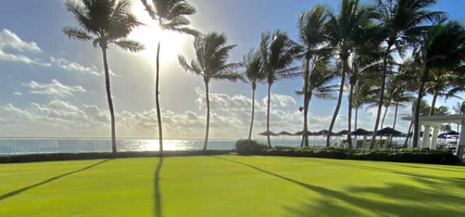Take Great Care of Your Property with Pompano Beach Lawn Care