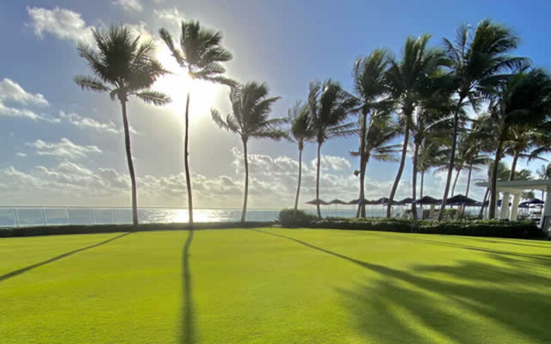 Take Great Care of Your Property with Pompano Beach Lawn Care
