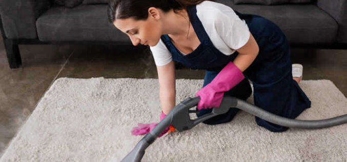 8 Most Important Carpet Cleaning Tips For Pet Owners