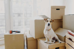 Moving Trends: Where Families Are Moving and Why