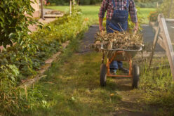 Unveiling the Pivotal Role of Garden Waste Removal in Maintaining a Healthy Landscape