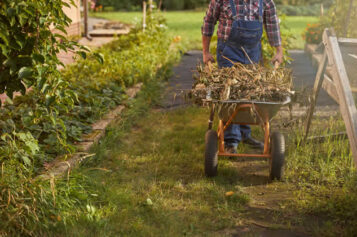 Unveiling the Pivotal Role of Garden Waste Removal in Maintaining a Healthy Landscape
