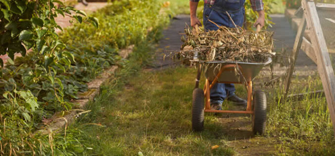 Unveiling the Pivotal Role of Garden Waste Removal in Maintaining a Healthy Landscape