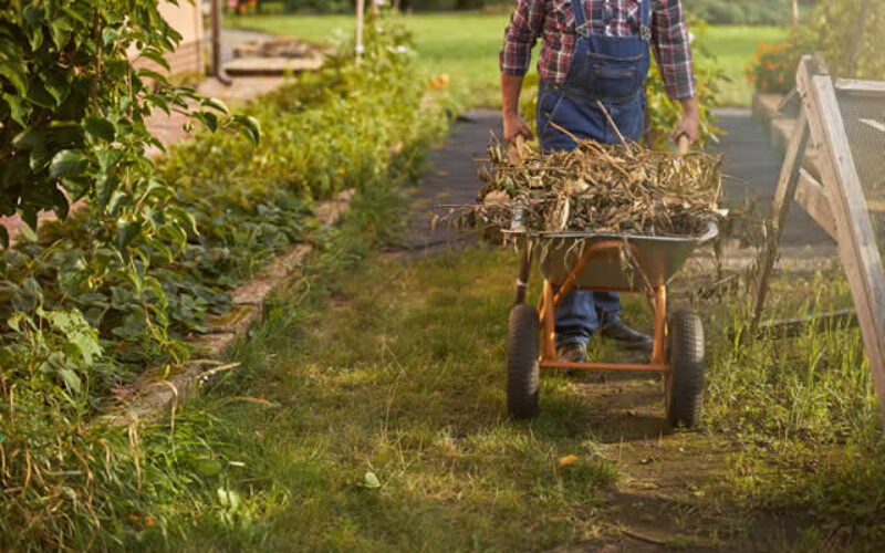 Unveiling the Pivotal Role of Garden Waste Removal in Maintaining a Healthy Landscape