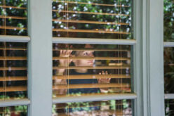 Harmonizing Aesthetics and Functionality in Window Decor
