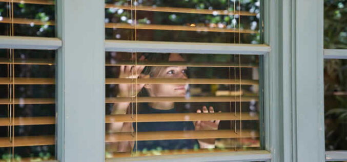 Harmonizing Aesthetics and Functionality in Window Decor