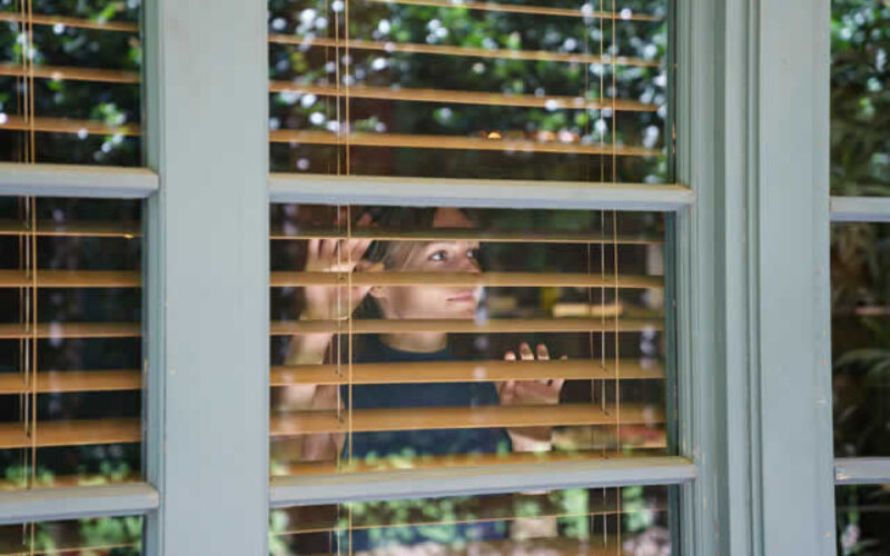Harmonizing Aesthetics and Functionality in Window Decor