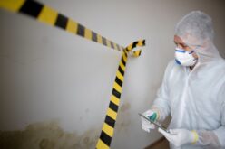 How To Choose the Right Remediation Services for You