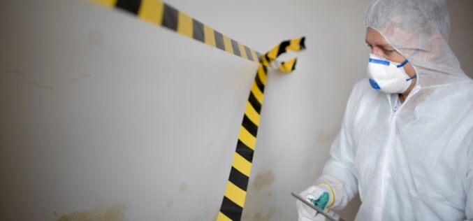 How To Choose the Right Remediation Services for You