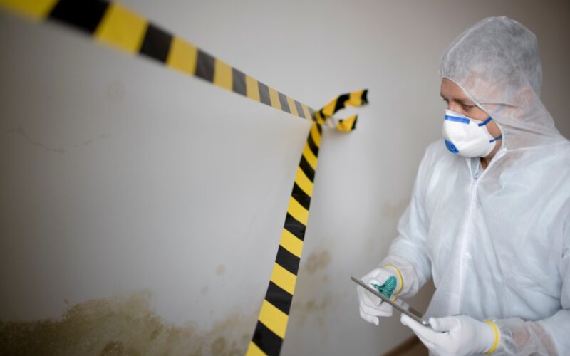 How To Choose the Right Remediation Services for You