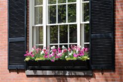 Double-Hung vs. Single-Hung Windows: Must Know Differences