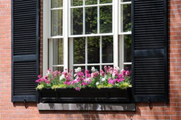 Double-Hung vs. Single-Hung Windows: Must Know Differences