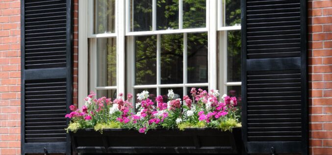 Double-Hung vs. Single-Hung Windows: Must Know Differences