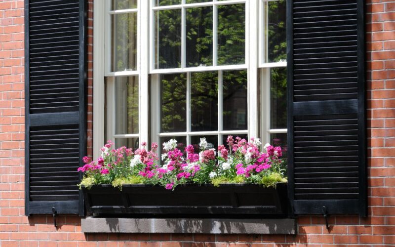 Double-Hung vs. Single-Hung Windows: Must Know Differences