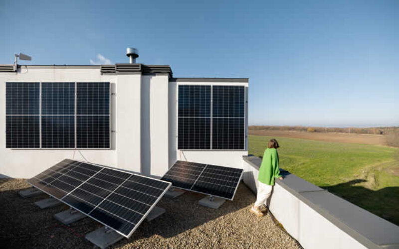 Increase Your Home’s Value & Eco-Friendliness: Smart Renovation Strategies