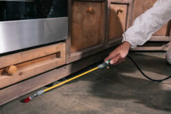 Dealing With Unwanted Guests: What To Do When You Find Pests During a Renovation