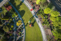 Low Maintenance Ideas for Your Backyard