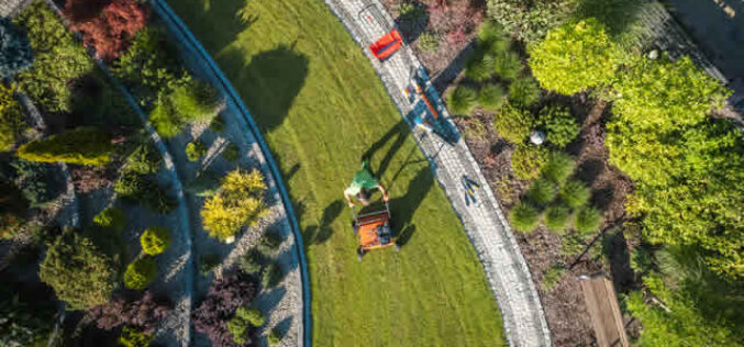 Low Maintenance Ideas for Your Backyard