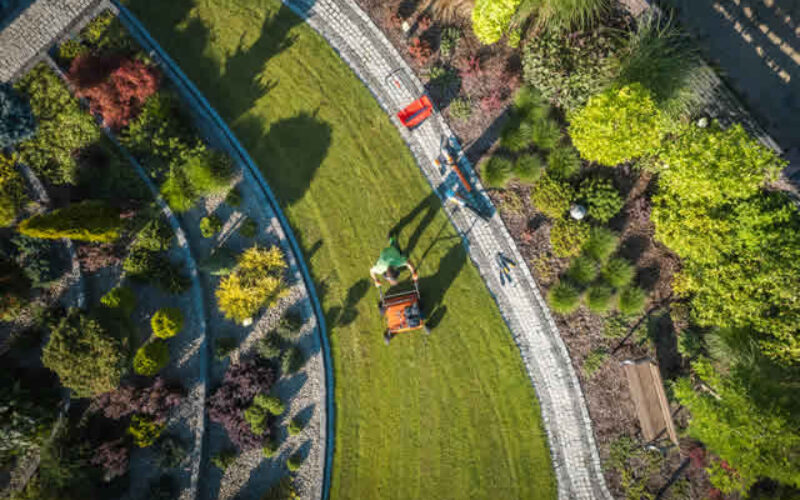 Low Maintenance Ideas for Your Backyard