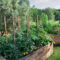 Grow Upward and Flourish with Raised Garden Beds
