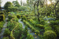 Victorian Garden Ideas: Creating a Tranquil Outdoor Space in the Heart of San Francisco