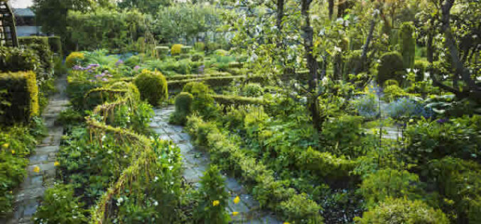 Victorian Garden Ideas: Creating a Tranquil Outdoor Space in the Heart of San Francisco