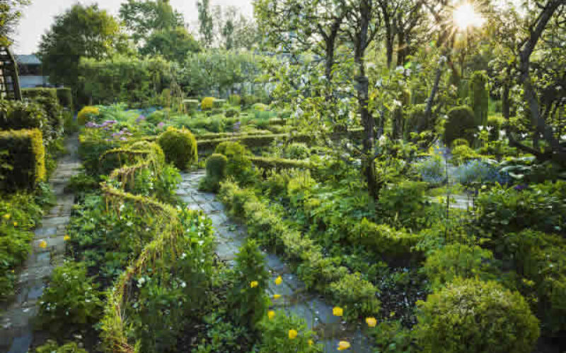 Victorian Garden Ideas: Creating a Tranquil Outdoor Space in the Heart of San Francisco