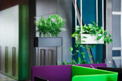 Bringing Nature Indoors with Biophilic Design and Sustainable Materials