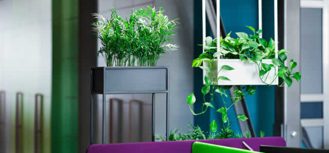 Bringing Nature Indoors with Biophilic Design and Sustainable Materials