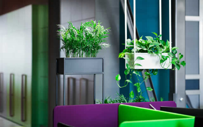Bringing Nature Indoors with Biophilic Design and Sustainable Materials