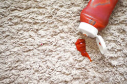 Why Carpet Stains And Odors Reappear And How To Fix Them?