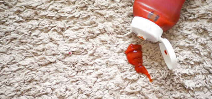 Why Carpet Stains And Odors Reappear And How To Fix Them?