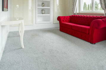 Discover the Secret to Warm and Cozy Living Spaces with Carpet